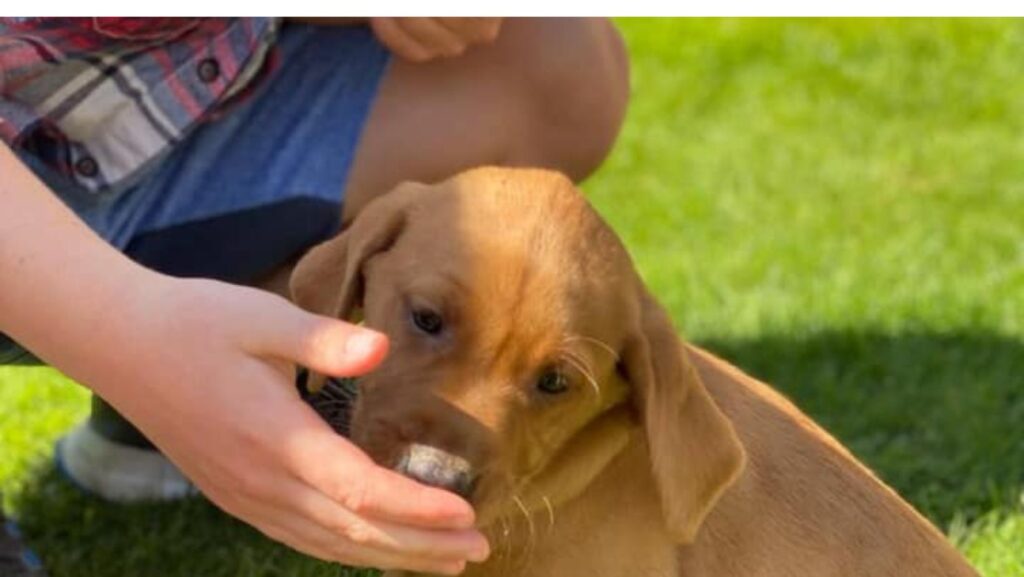 xr:d:DAFm7VHmat0:70,j:5350678605508939430,t:23090807